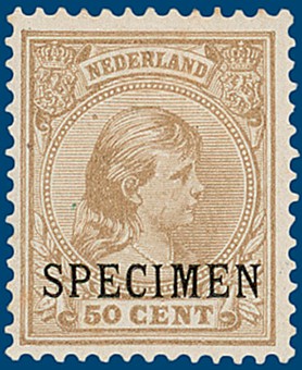 Kavel 3104