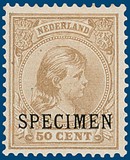 Lot 3104