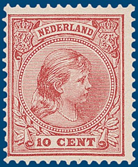 Kavel 3109