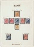 Kavel 1303