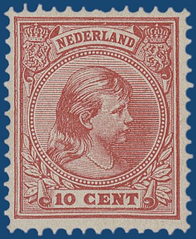 Kavel 3403
