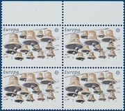 Kavel 3625