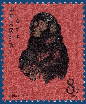 Kavel 538