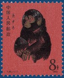 Kavel 538