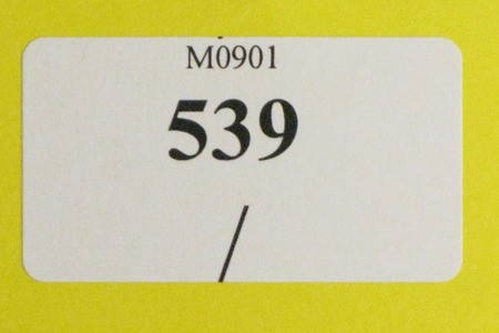 Kavel 539