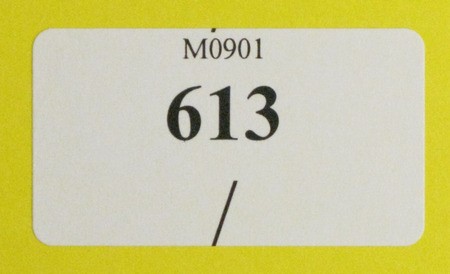 Kavel 613