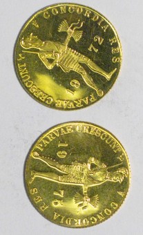 Kavel 658