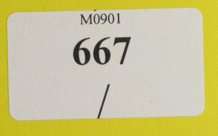 Kavel 667