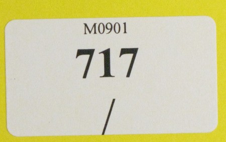 Kavel 717