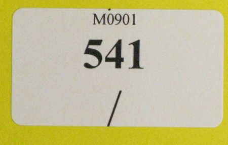 Kavel 541