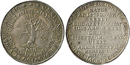 Kavel 3183