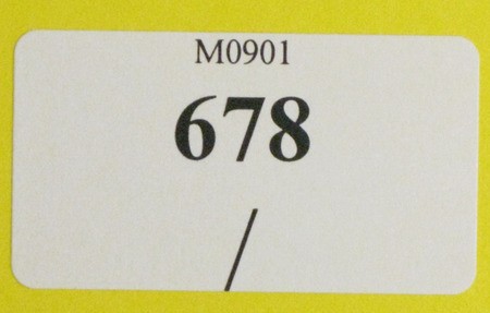 Lot 678