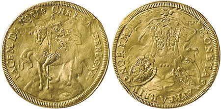 Kavel 3248