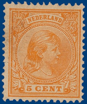 Kavel 307