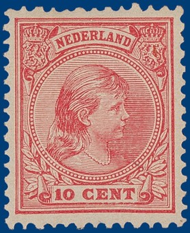 Kavel 312