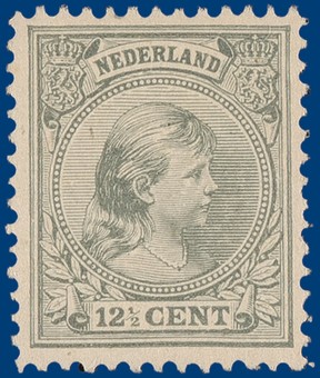 Kavel 313