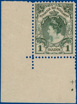 Lot 345