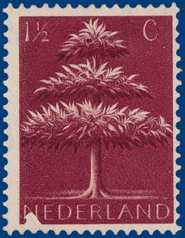 Kavel 381