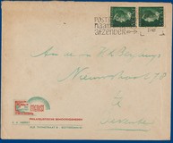 Lot 503