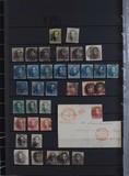 Lot 1611