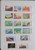 Lot 1646 (6)