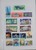 Lot 1646 (16)