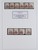 Lot 1828 (19)
