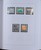 Kavel 781 (21)