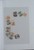 Kavel 822 (73)