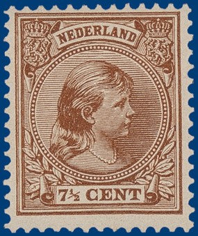 Kavel 309