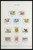 Kavel 1933 (106)