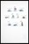 Kavel 1779 (32)