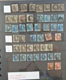 Lot 1613