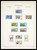Lot 1756 (58)