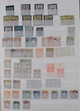 Lot 1955