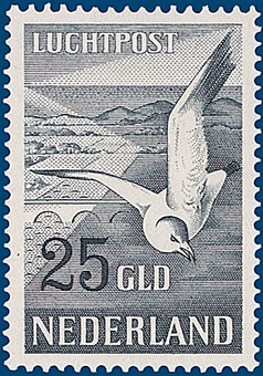 Kavel 2825