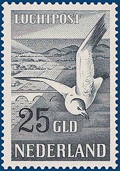 Kavel 2827