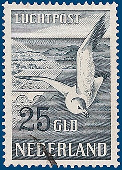 Kavel 2828
