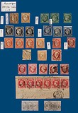 Lot 1607