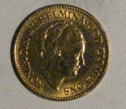 Lot 1556