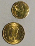 Lot 1555