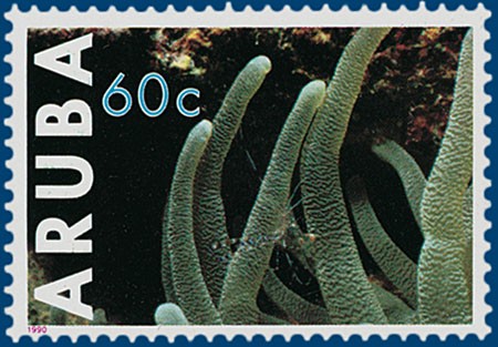 Kavel 2421