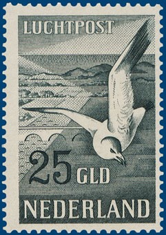Kavel 2251