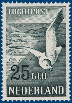 Kavel 2254