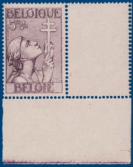 Lot 1019