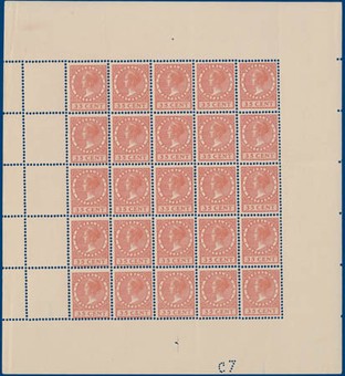 Kavel 4336