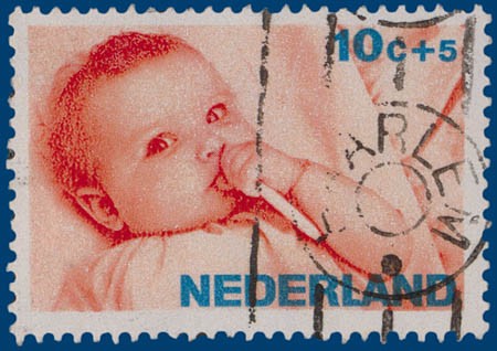 Kavel 299