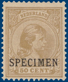 Kavel 4137