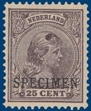 Kavel 4162