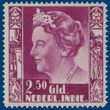 Kavel 4893